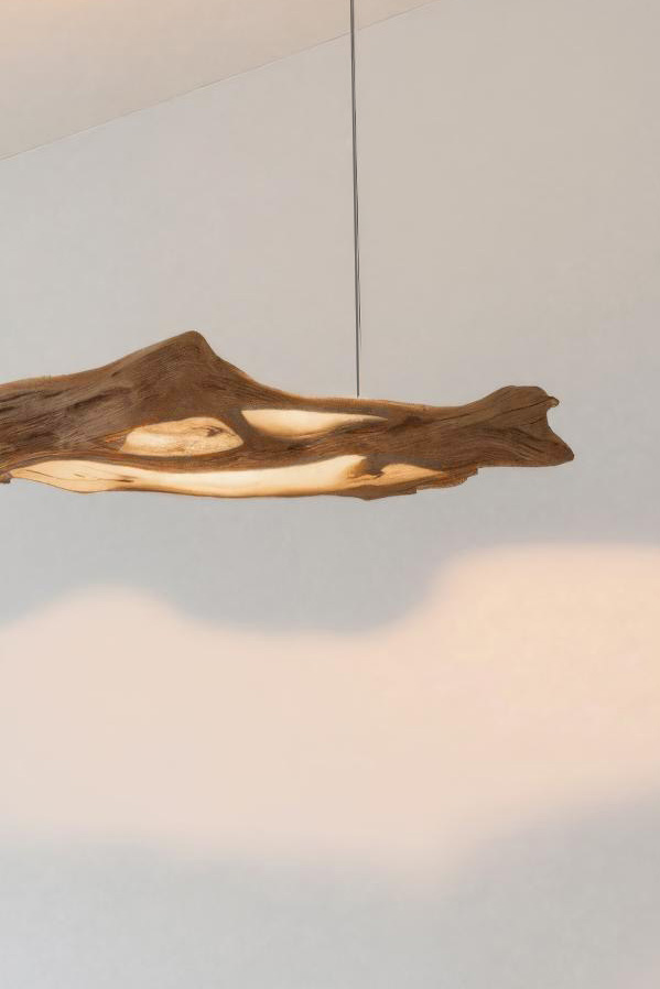 Modern Sculptural Pendant Light With Organic Form For Living Room